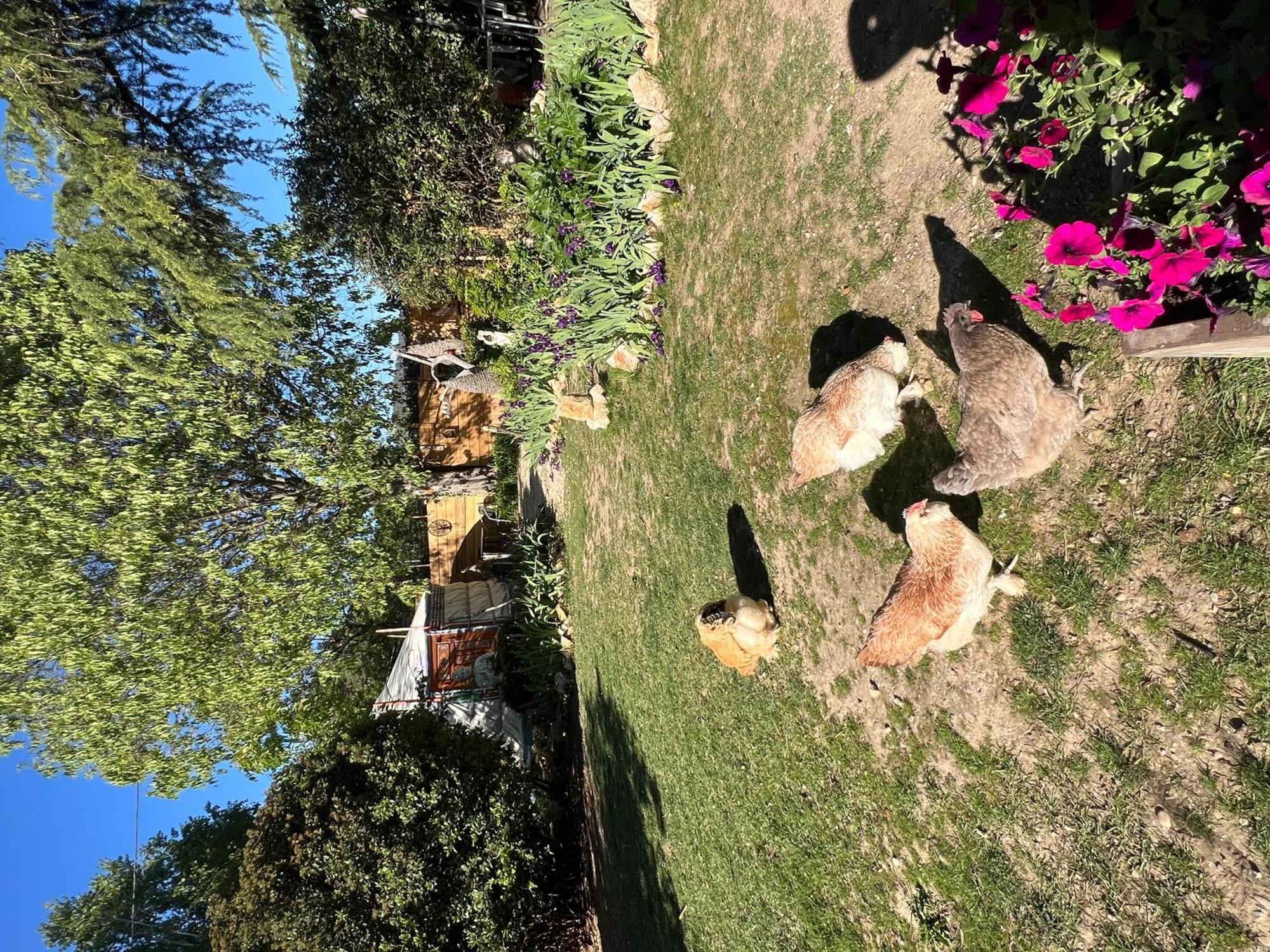 Bastide Du Bonheur Saint Donat Bed and Breakfast Gréoux-les-Bains Εξωτερικό φωτογραφία
