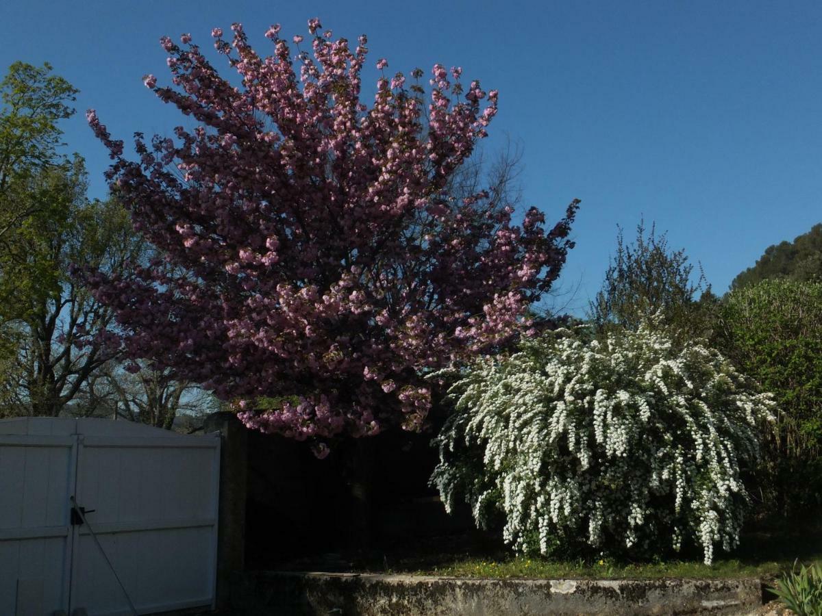 Bastide Du Bonheur Saint Donat Bed and Breakfast Gréoux-les-Bains Εξωτερικό φωτογραφία